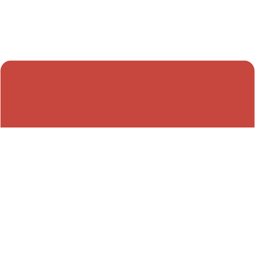 Bandeira POL
