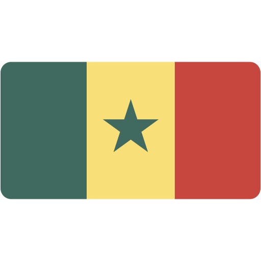 Bandeira SEN