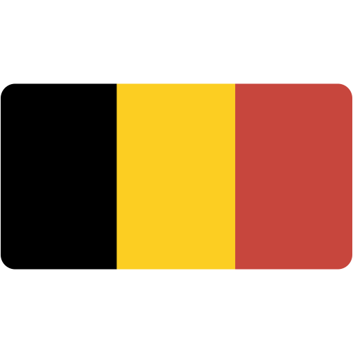 Bandeira BEL